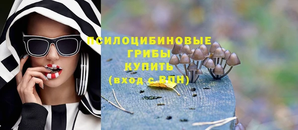спиды Дмитриев