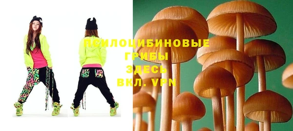 таблы Дмитровск