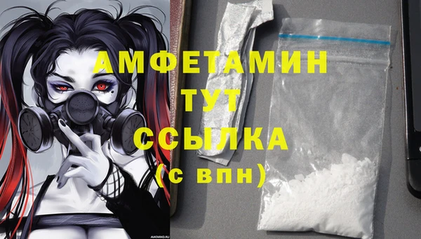 спиды Дмитриев