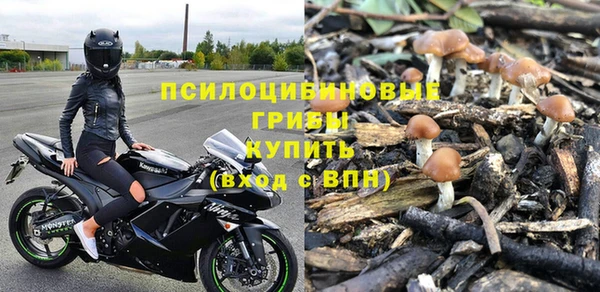 экстази Дмитров