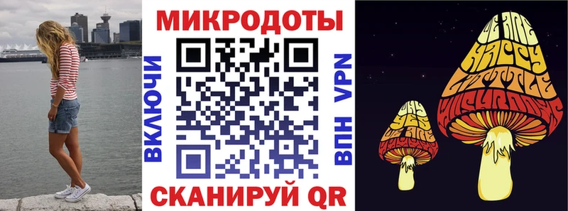 Купить закладки  Судак  Галлюциногенные грибы мицелий 
