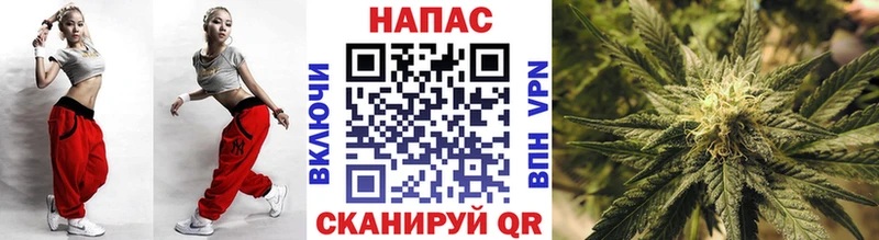 Купить где  Судак  Бошки марихуана планчик 